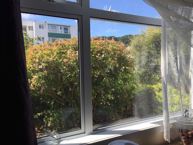 3/16 Angus Avenue Berhampore_0