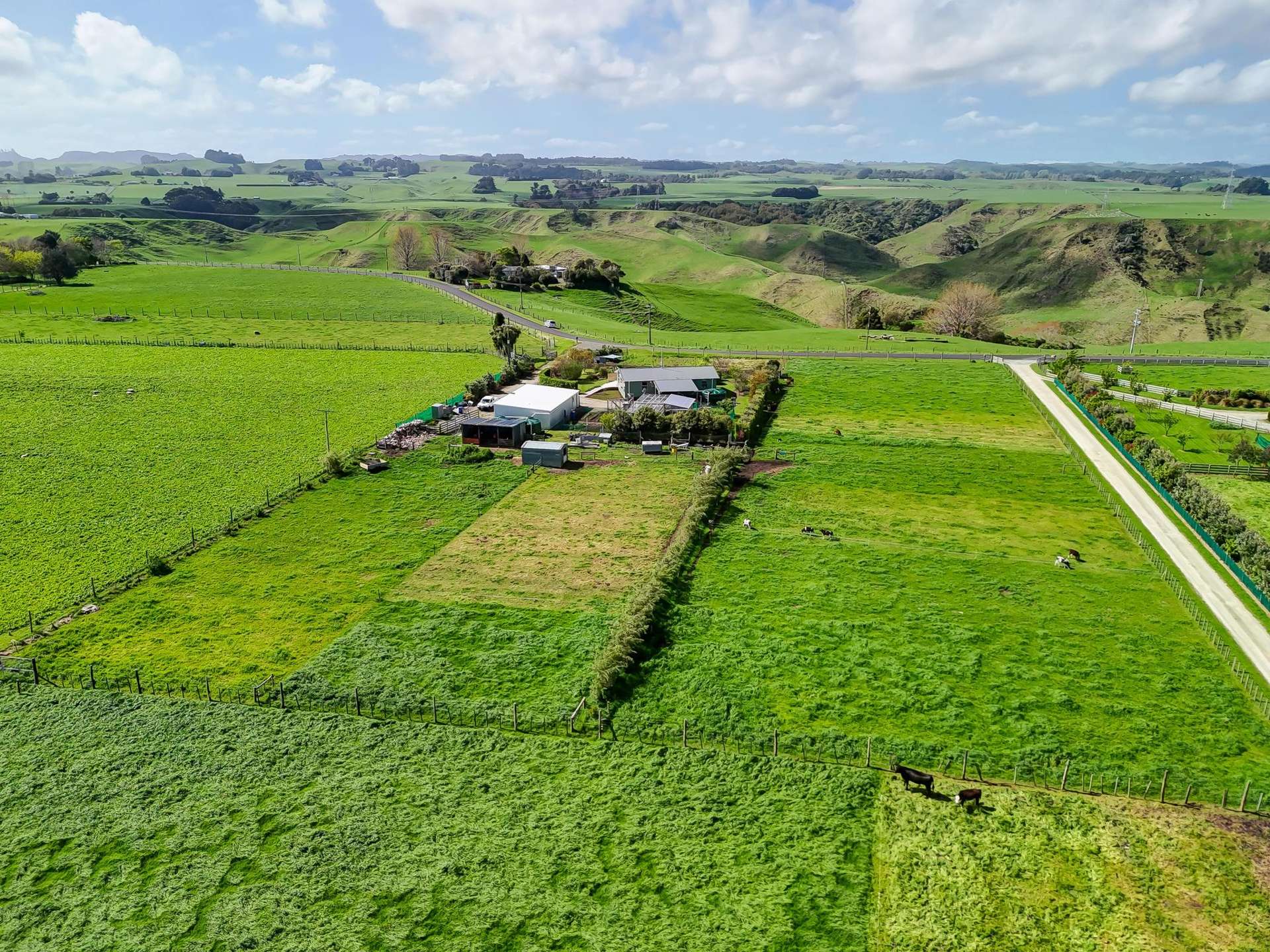 91 Bushy Park Road Kai Iwi_0