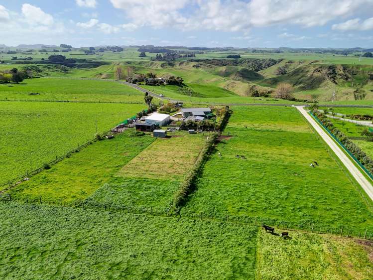 91 Bushy Park Road Kai Iwi_20