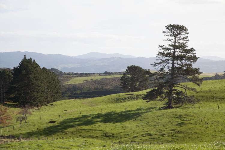 282 Lees Road Hahei_11