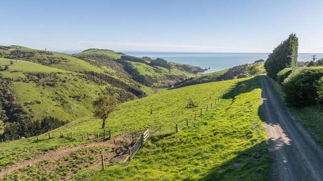 Tucked away near Okains Bay Beach