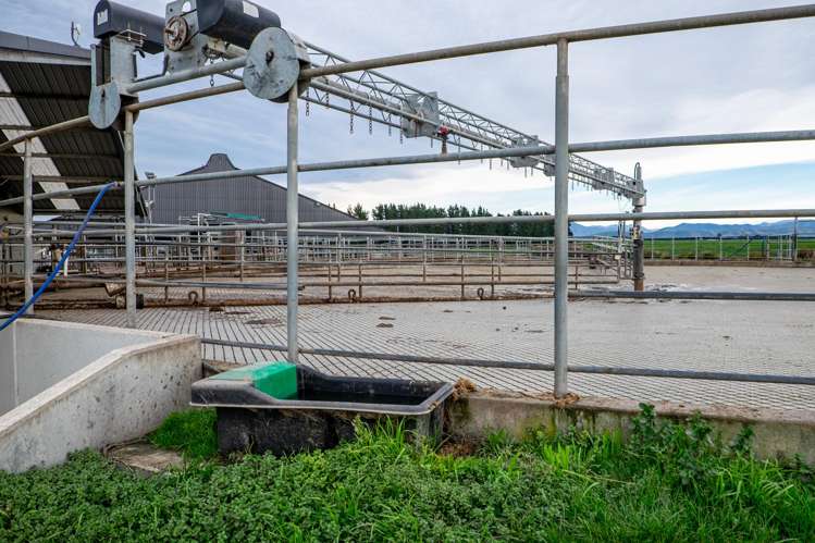 1444 Maronan Valetta Road Westerfield_15