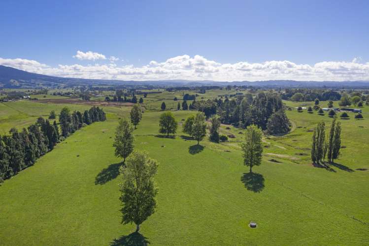 117 Meadway Road Ngahinapouri_4