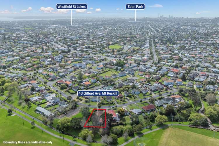 43 Gifford Avenue Mt Roskill_3