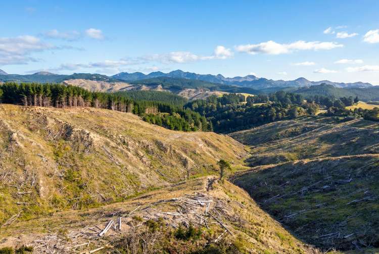 Lot 2 Kaiwhata Road Te Wharau_6