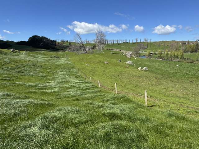 258 Wharepapa South Road Te Awamutu_1