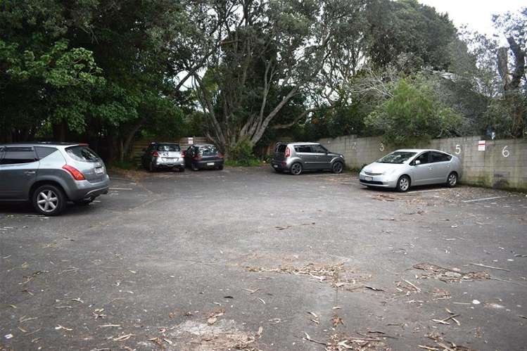 2/66 Astley Avenue New Lynn_16