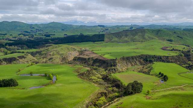 558 Ngaumu Road Masterton_4