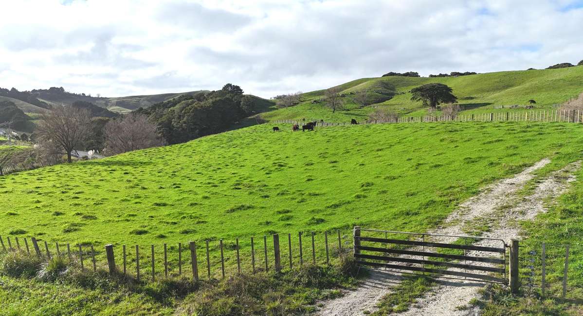 4326 Kaipara Coast Highway_0