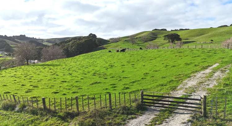 4326 Kaipara Coast Highway_0