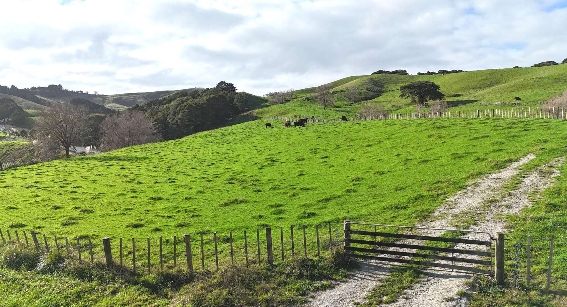 4326 Kaipara Coast Highway Tauhoa_0