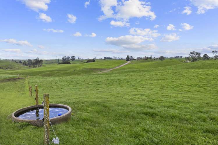 2085a-B Old Taupo Road Putaruru_11