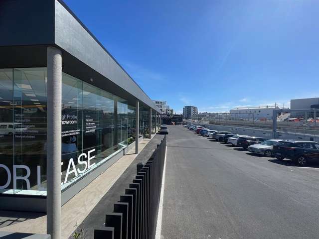 32 Normanby Road Mount Eden_3