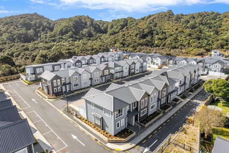 40 Te Ara O Puakawe Wainuiomata_22