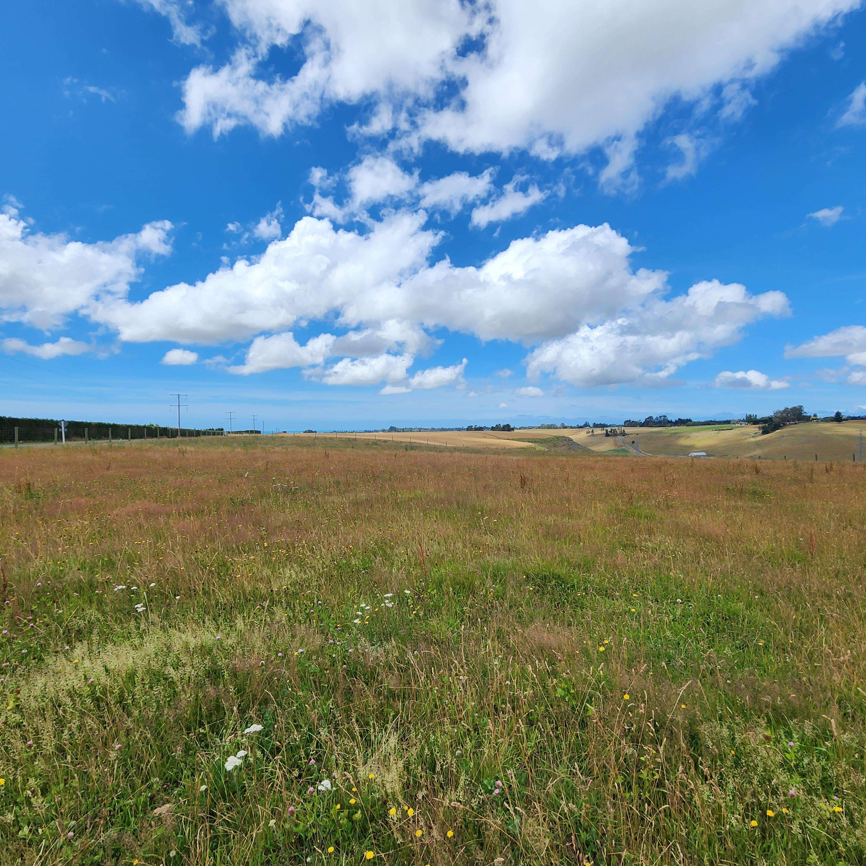 spur-road-rosewill-timaru-rural-property-for-sale-one-roof