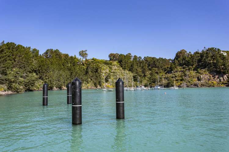 56 Marine Drive Diamond Harbour_25