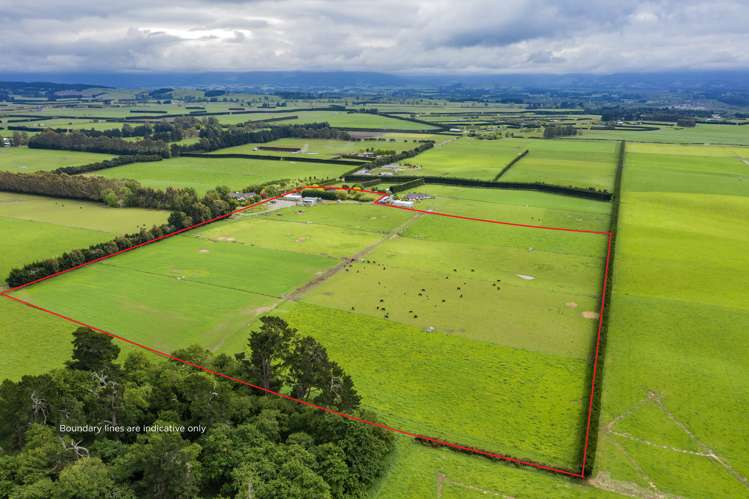 485a Mairaki Road Fernside_6