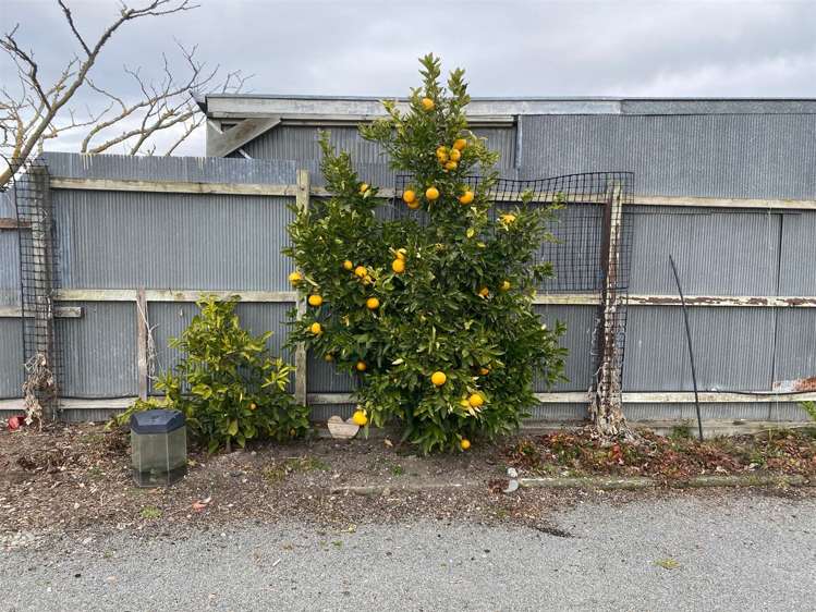 167 Grove Street Tinwald_11