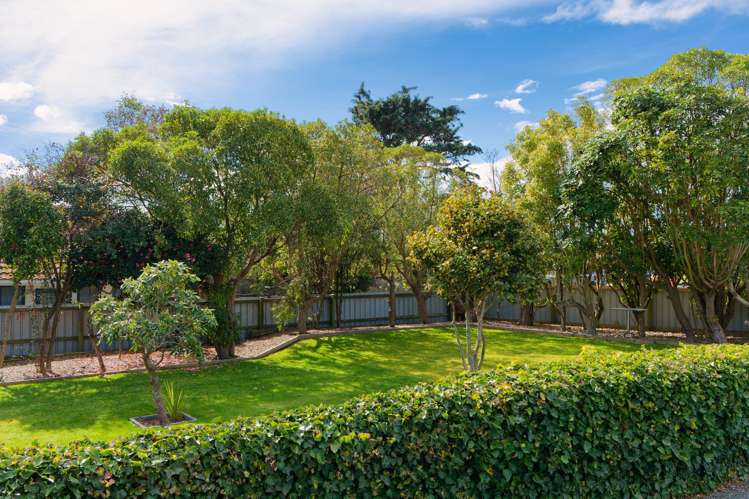 237 Beach Road Kaikoura_26