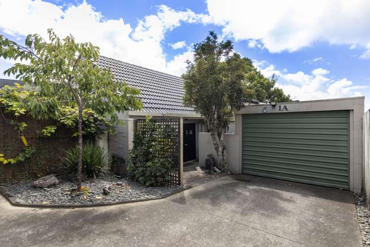 1a Marion Avenue Mount Roskill_25