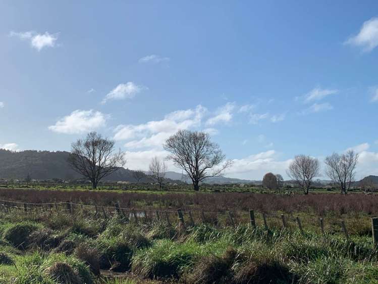 303 Kaipara Coast Highway Helensville Rodney Houses for Rent