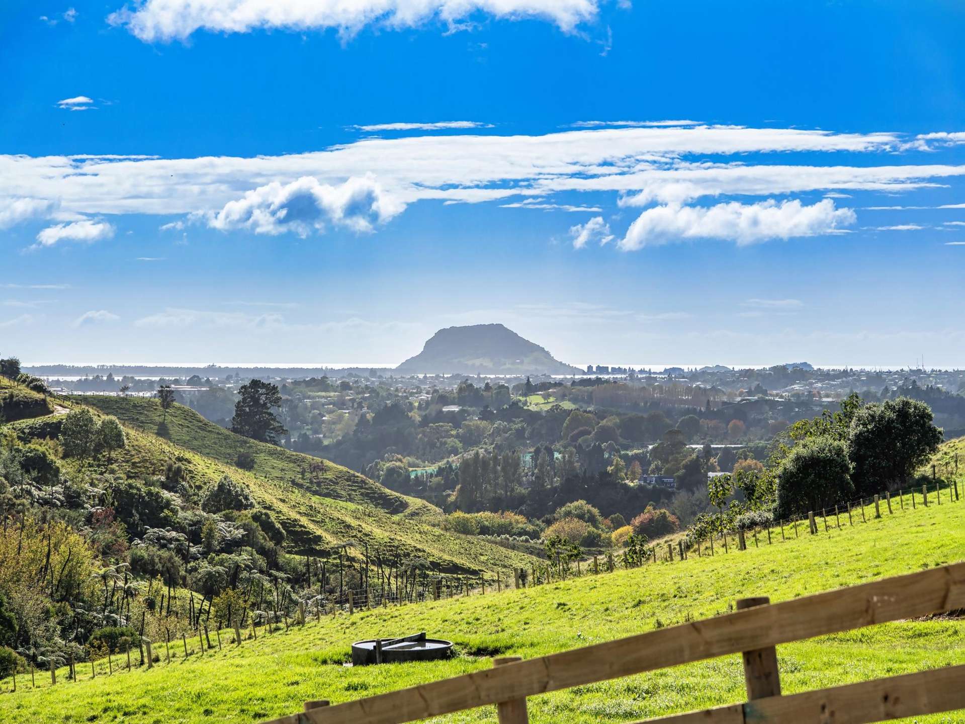 Lot 2,164C Crawford Road Te Puna_0