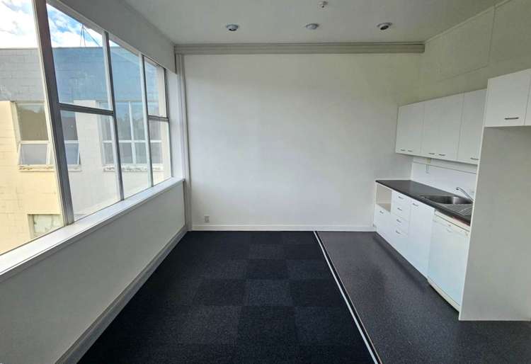 16 Heather Street Parnell_4