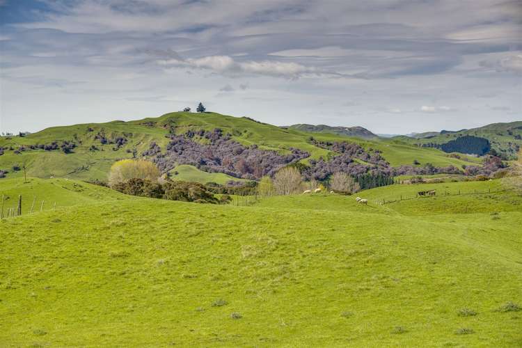 Glengarry Road Hastings Country_6