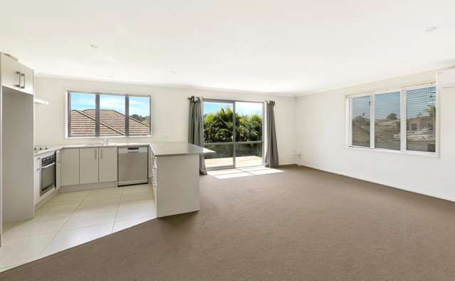 14 McGowan Rise Tuakau_1