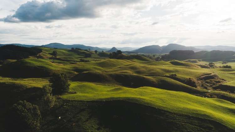 617 Dunkirk Road Atiamuri_37