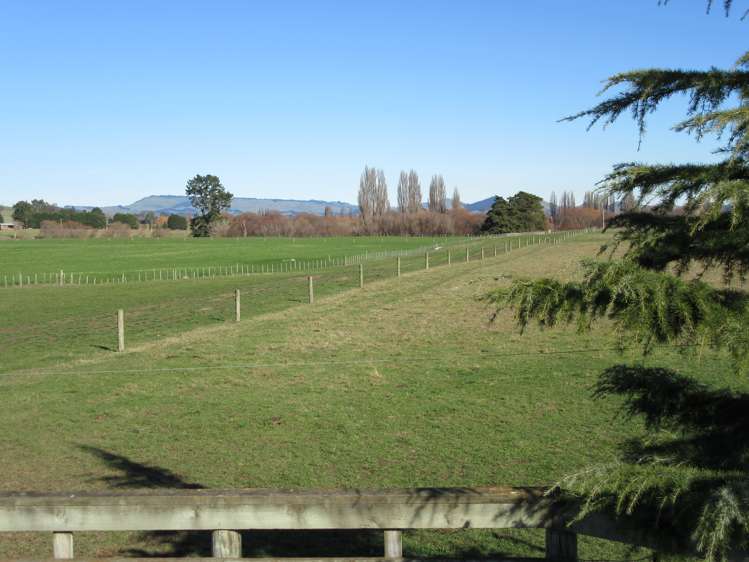 3245 State Highway 2 Takapau_9