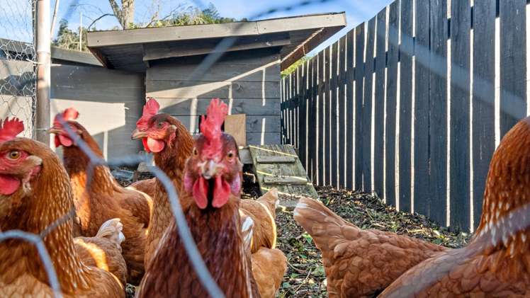 1177b Cameron Road Gate Pa_13