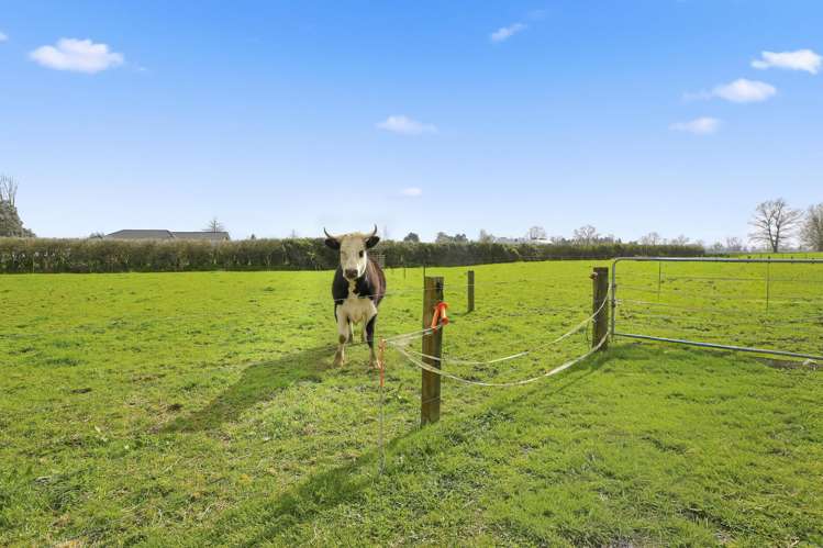 36B Kio Kio Station Road Otorohanga_14