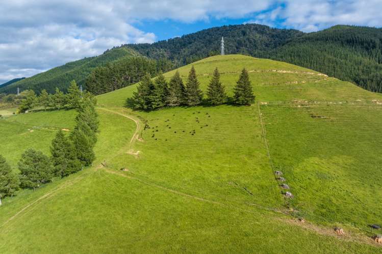 Lot 2, Maungatapu Road Pelorus Bridge_22