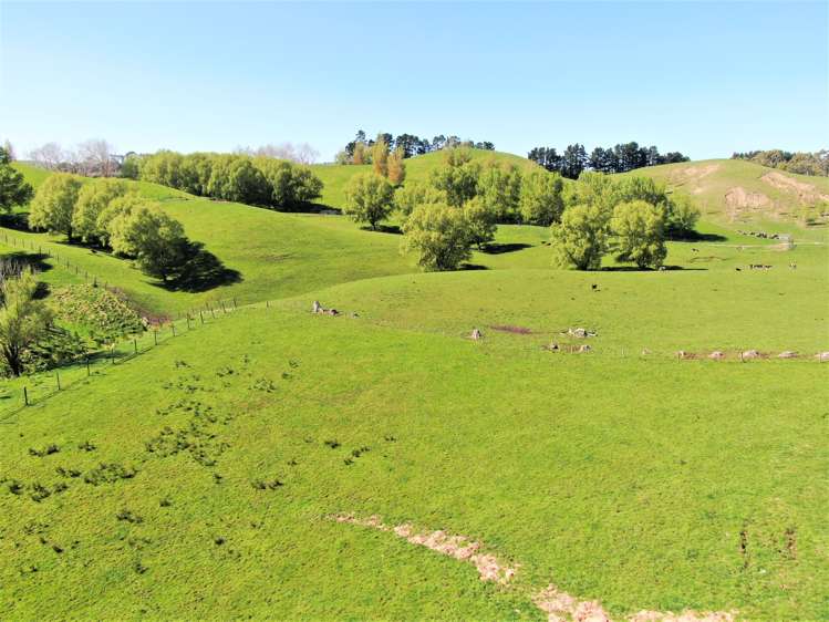 338 Te Awa Road Hawkes Bay_2