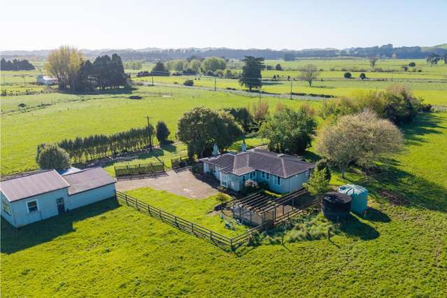 886 Kakariki Road Eketahuna_3