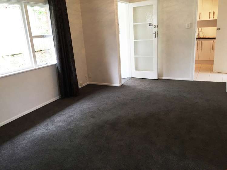 2/48 Rawhiti Road One Tree Hill_11