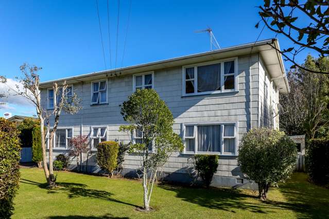 228 Tukapa Street Westown_1