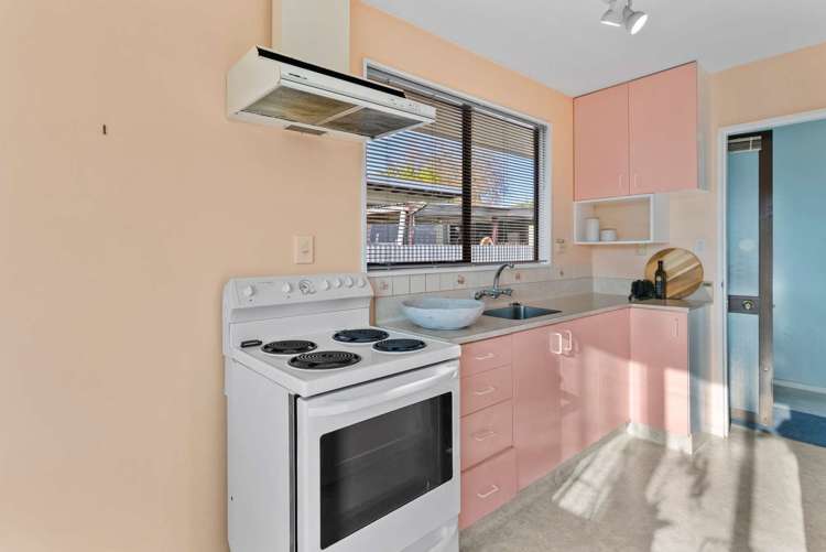 8 Hargest Crescent Sydenham_6