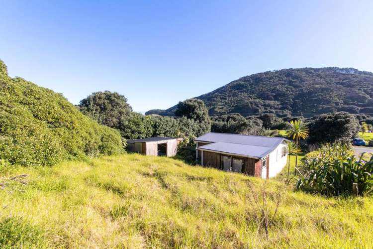 270 Bethells Road Bethells Beach_14