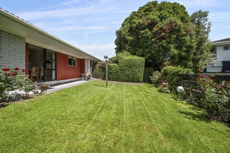 4/357 Old Taupo Road Springfield_12