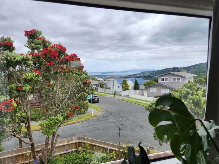 1 Lindis Close Kelson_22