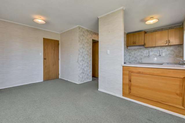 14a Cradock Street Avondale_1