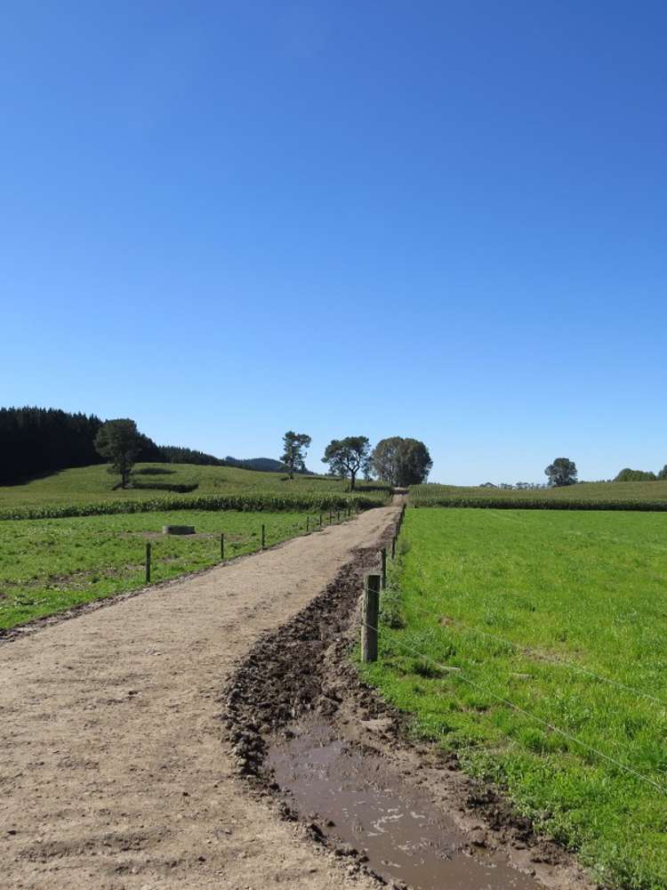 6261 State Highway 1 Kinleith_11