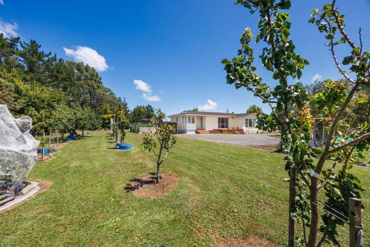 731 Stoney Creek Road Bunnythorpe_11