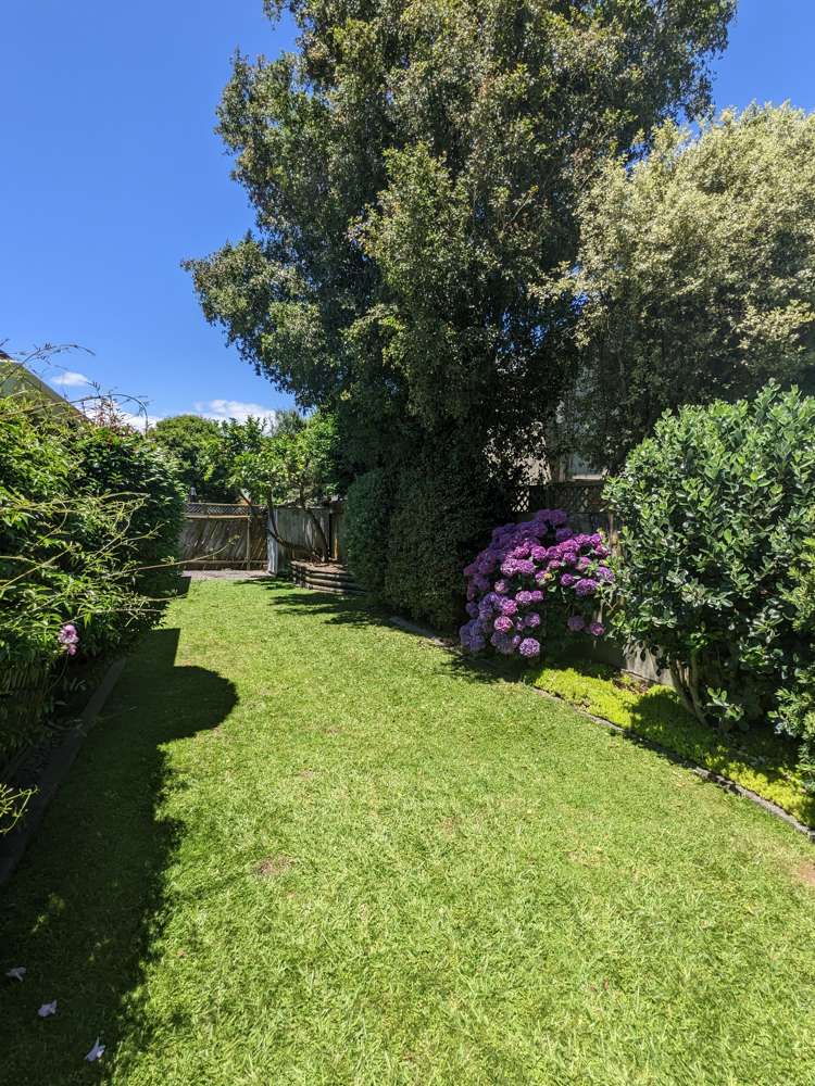 101 Plateau Heights Mount Maunganui_11