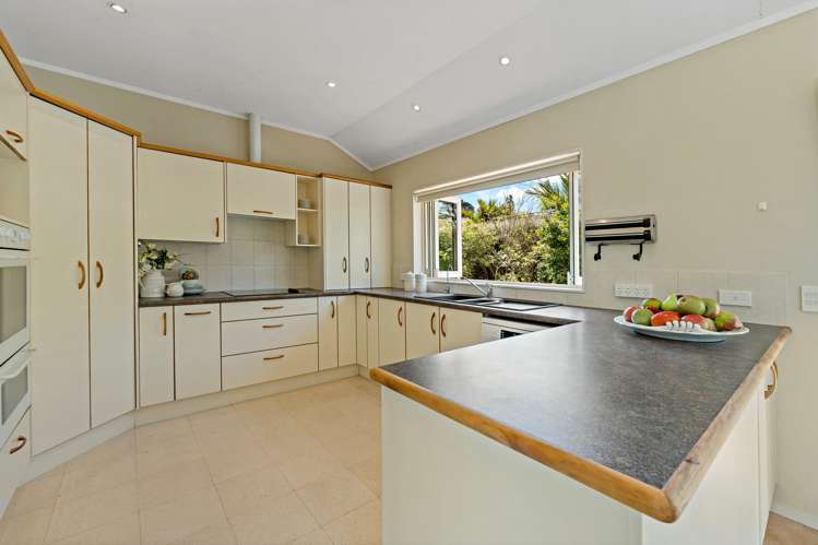 17 Frederick Street Hillsborough_6