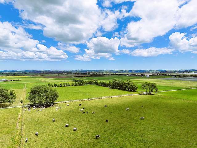 87 Tramline Road Ruawai_3