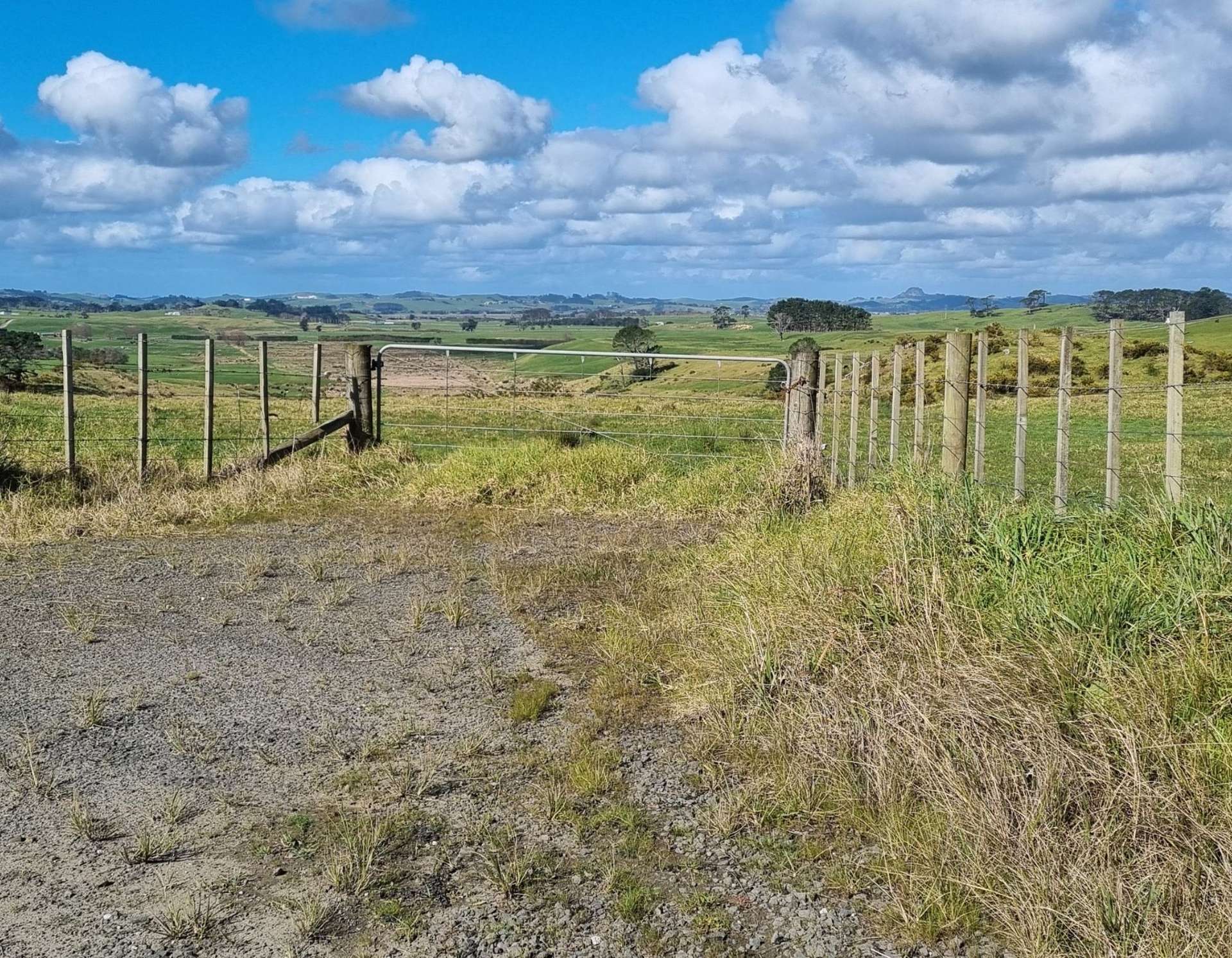 455 Mount Wesley Coast Road (Lot 1) Dargaville_0