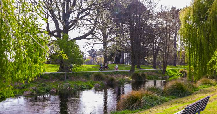 50a Fendalton Road Fendalton_20